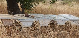 La Ruche Kenyan Miel Du Burkina La ruche kényane est très simple à fabriquer. la ruche kenyan miel du burkina