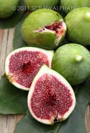 Pin On Fruits Vegetables Gardening