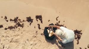 Unfortunately, such classic stoner movies as dazed and confused and pineapple express aren't on netflix. 20 Weed Stoner Movies On Netflix Right Now 2021 2020 Cinemaholic