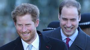 Princes William and Harry pay tribute to Princess Diana