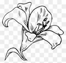 Supercoloring.com is a super fun for all ages: Coloring Pages For Adults Zebra Sheets New On Download Zebra Clip Art Free Transparent Png Clipart Images Download