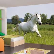 vlies fotobehang wit paard dieren behang muurmode nl fotobehang dieren behang behang