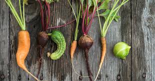 Vive Les Fruits Et Legumes Moches Marie Claire Belgique