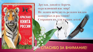 проект по окружающему миру красная книга или возьмем под защиту Prezentaciya Krasnaya Kniga Ili Vozmem Pod Zashitu Youtube