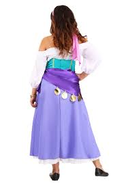 The kitchen is completely and modernly equipped. Disney Hunchback Of Notre Dame Women S Esmeralda Costume