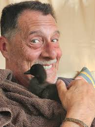 Duck rescue care and breed identification