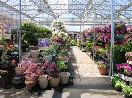 Seoane Garden Center Seoanegc Twitter Garden Center Displays Plant Nursery Garden Shop