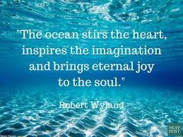 11 Quotes About The Ocean That Remind Us To Protect It Ocean Quotes Sea Quotes Nature Quotes