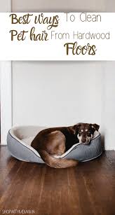The Best Way To Remove Pet Hair Off Hardwood Floor Shop With Me Mama Pet Hair Removal Cleaning Pet Hair Pet Hair