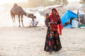 India is scrambling to counter a new hybrid of coronavirus detected in the country, as medical professionals warn that the new strain could be resilient against the domestically produced covishield vaccine. Among The Camels And Horses Pushkar Fair India Ursula S Weekly Wanders