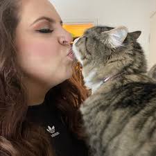 Need some advice! My rescue cat REFUSES to get in the carrier. I understand  why, but also it makes it an entire day long mission to get her to the  vets. I've