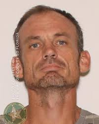 Daryl Shelton, a 43-year-old White Male, is wanted in Marion County for  Failure to Register as a Sex or Violent Offender under cause number  49D26-2411-F6-033927. Shelton was convicted of Sexual Battery on