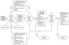 Nitrous Oxide For The Management Of Labor Pain Effective Health Care Program