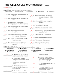 The remains of doctor bass where at the end is a collection of questions. The Cell Cycle Worksheet With Answers Studocu