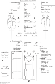 Examination Of Gait Physical Rehabilitation 6e F A