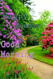 Maybe you would like to learn more about one of these? 829 Sunday Good Morning Images Quotes Pics Wishes In Hindi