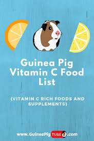 Pin On Guinea Pig Food And Diet