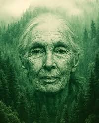 Celebrating a scientist's legacy in nature conservation