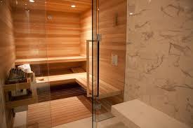 Shower Sauna Combo Bathroom Contemporary With None Sauna Bagno