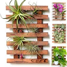 Liven up a blank wall with this modern hanging planter. Amazon Com Wall Planter Wooden Air Plant Succulent Holder Hanger Indoor Outdoor Live Orchid Wall Wood Display Frame Vertical Garden Balcony Deck Wall Decor Bathroom Macetas Para Orquideas Plantas De Aire