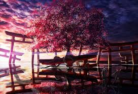 Image of best 62 verbal communication wallpaper on hipwallpaper. Sakura Tree Hd Wallpapers Free Download Wallpaperbetter