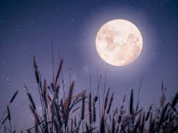 Mardi 27 avril 2021, la pleine lune commence à 3h31, mais le périgée de la lune a lieu à 15h25. Horoscope Lunaire De La Semaine Du 20 Au 26 Fevrier 2021 Femme Actuelle Le Mag