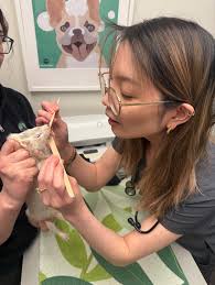 Grant Park Animal Hospital