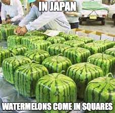 We did not find results for: Watermelon Memes Gifs Imgflip