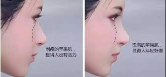 Mobile phone shop in taipei, taiwan. è‹¹æžœè‚Œä¸‹å¡Œä¸€åŽ˜ç±³ äººçœŸçš„èƒ½æ˜¾è€8 10å²å— çŸ¥ä¹Ž