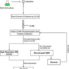 Maybe you would like to learn more about one of these? Pdf Approaches Of Antivirals Production In Tissue Culture Of Medicinal Plants Book Published From Omics Publications Us Isbn 978 1 63278 052 2 By Dr Pratibha Chaturvedi And Prof Abhay Chowdhary