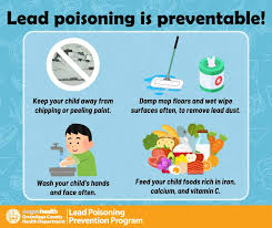 Image result for Lead Poisoning
