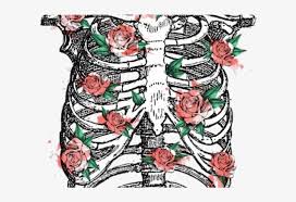 *completed*if you'd like to win a free membership to the premium. Rib Cage Flower Drawing Transparent Png 640x480 Free Download On Nicepng