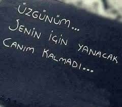 Nereye Kadar Ilgisizligin De Senin Olsun Yunus Ozlu Sozler Guzel Soz Ilham Verici Alintilar