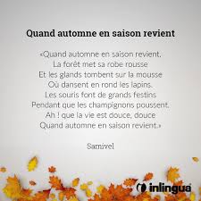 This is quand l automne en saison revient entière by ecolewallon vaulx on vimeo, the home for high quality videos and the people who love them. Inlingua Roma Photos Facebook