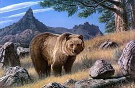 The bear was an important clan crest on the northwest coast and can often be found carved on totem poles. Cool Native American Bear Wallpapers Top Free Cool Native American Bear Backgrounds Wallpaperaccess