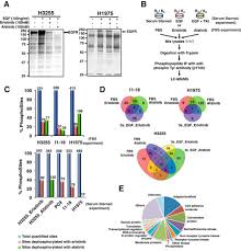 Eyelash kit manufacturers & wholesalers. Quantitative Tyrosine Phosphoproteomics Of Epidermal Growth Factor Receptor Egfr Tyrosine Kinase Inhibitor Treated Lung Adenocarcinoma Cells Reveals Potential Novel Biomarkers Of Therapeutic Response Molecular Cellular Proteomics