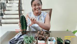 Exclusively at neiman marcus handcrafted planter sold individually. The First Of Penfires Plants Succulents In Cebu Penfires