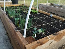 You can plant more than one crop in a square. Square Foot Gardening Wikipedia