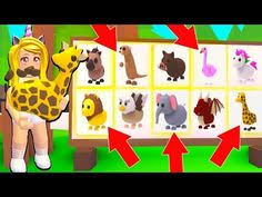Pound & lost and found give some lonely pets and lost items a new home; Adopt Me Unicorn Pet Room Ideas Novocom Top