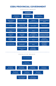 37 Reasonable Barangay Organizational Chart In The Philippines