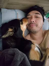 Australian Working Kelpies and Working Dog Forum