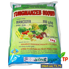 Tungmanzeb 800WP