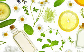Organic Skin Care Ingredients Nuevo Skincare