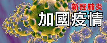 星島聯網 美國 多倫多 溫哥華 歐洲. åŠ åœ‹ç–«æƒ… å¤šå€«å¤š åŠ æ‹¿å¤§ä¸­æ–‡æ–°èžç¶² åŠ æ‹¿å¤§æ˜Ÿå³¶æ—¥å ±canada Chinese News