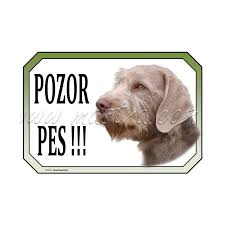 Image result for slovenský ohař hrubosrstý