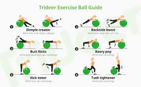 See more ideas about exercise, yoga ball abs, yoga ball. Amazon Com Trideer Extra Thick Yoga Ball Exercise Ball 5 Sizes Ball Chair Heavy Duty Swiss Ball For Balance Stability Pregnancy And Physical Therapy Quick Pump Included Sports Outdoors