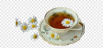 Review quán camellia tea & coffee: Tea Lotion Chamomile Health Home Remedy Health Tea Food Sleep Flower Png Pngwing