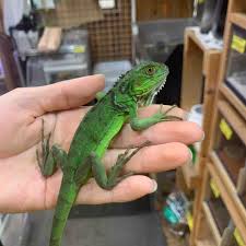 ライブドアブログ