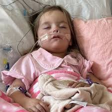 Fundraiser for Holly Barbour by Amanda Byrd : Hannah's Heart