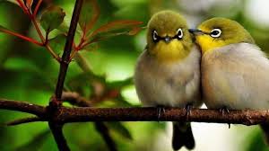 Paisajes playa playas hermosas hermosos paisajes fondos paisajes paisajes naturaleza barcos embarcaciones imagenes de playas atardecer precioso. Fondos De Pantalla Alegres Fondosmil